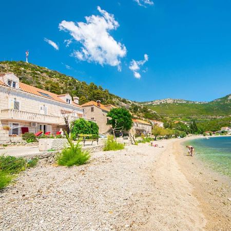 Apartment Jelka-3 Trstenik  Bagian luar foto
