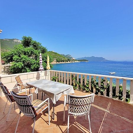 Apartment Jelka-3 Trstenik  Bagian luar foto