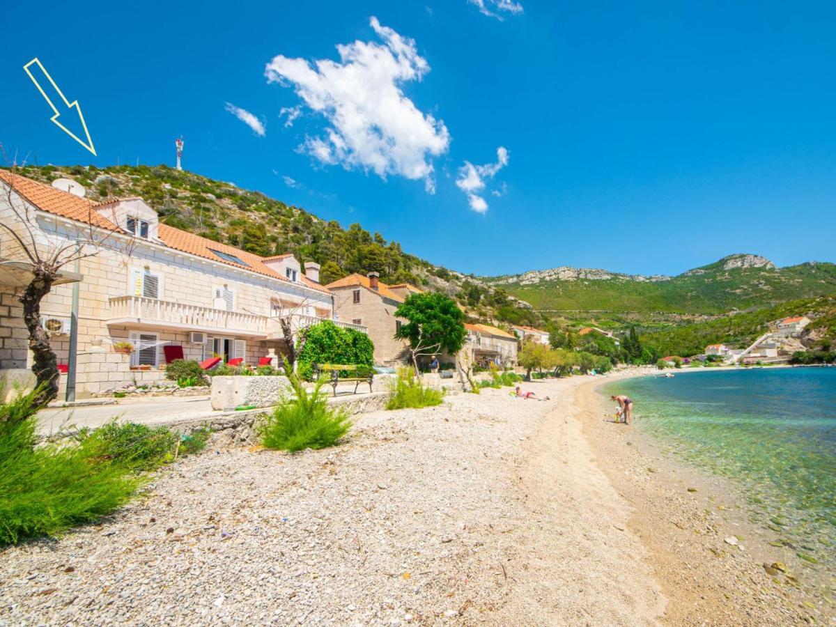 Apartment Jelka-3 Trstenik  Bagian luar foto