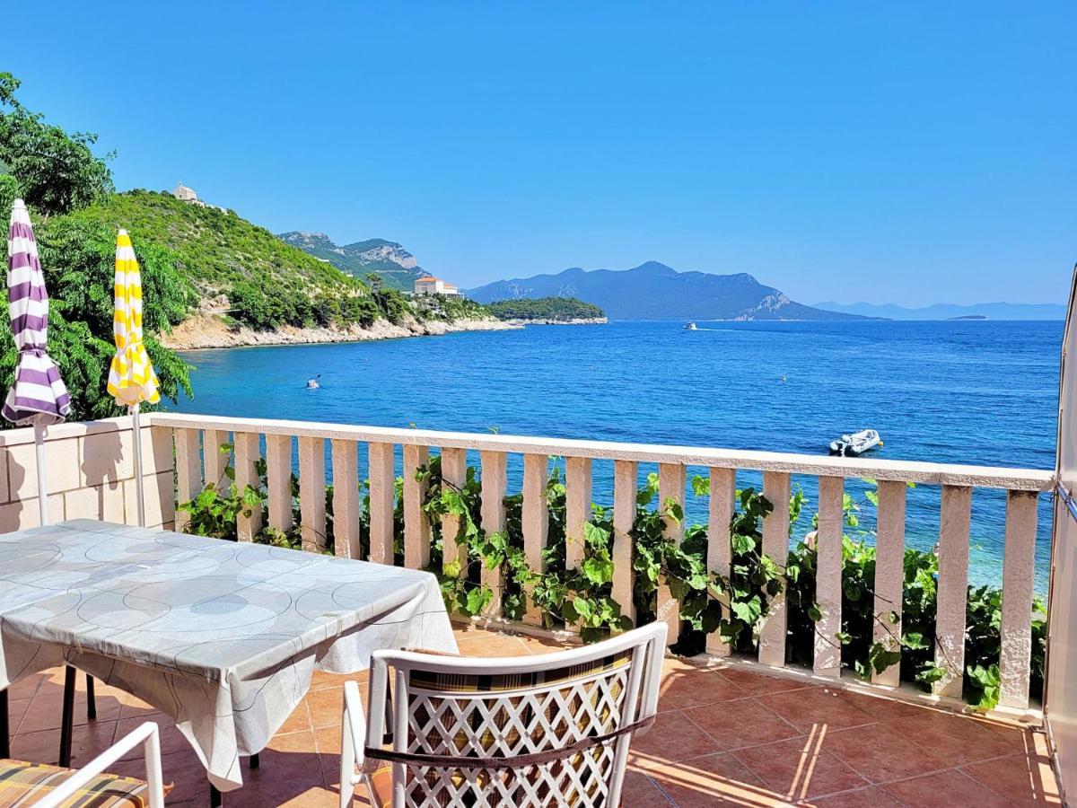 Apartment Jelka-3 Trstenik  Bagian luar foto